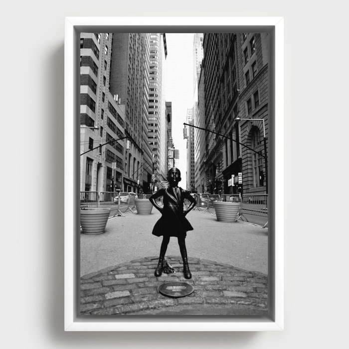 Framed Canvas