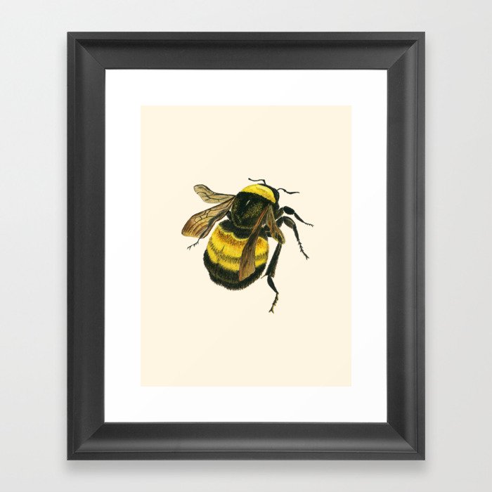 Vintage Scientific Bee Framed Art Print