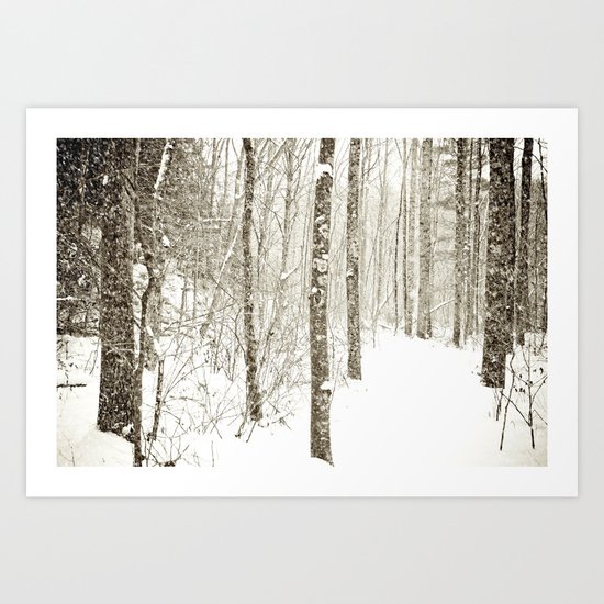 Wintry Mix Art Print
