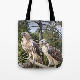 Pair of Red-tail Hawks in West Michigan Woodland Tote Bag