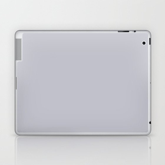 Gray Slipper Laptop & iPad Skin
