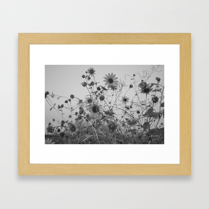 Moody Sunflowers Framed Art Print