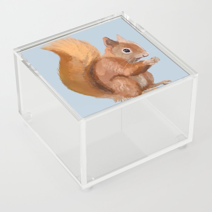 Red Squirrel Acrylic Box