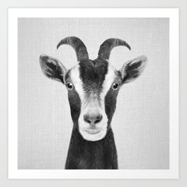 Goat - Black & White Art Print