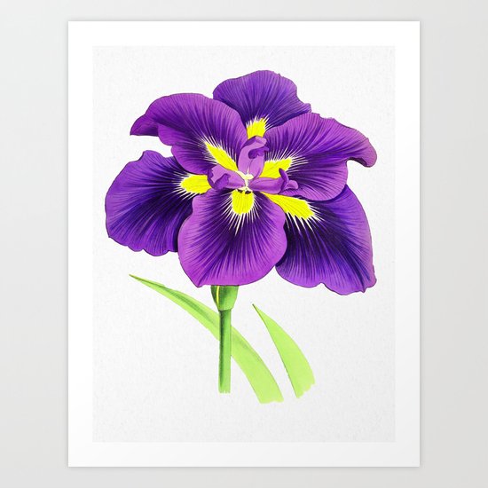 Violet Art Print