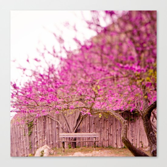 once upon a time Canvas Print