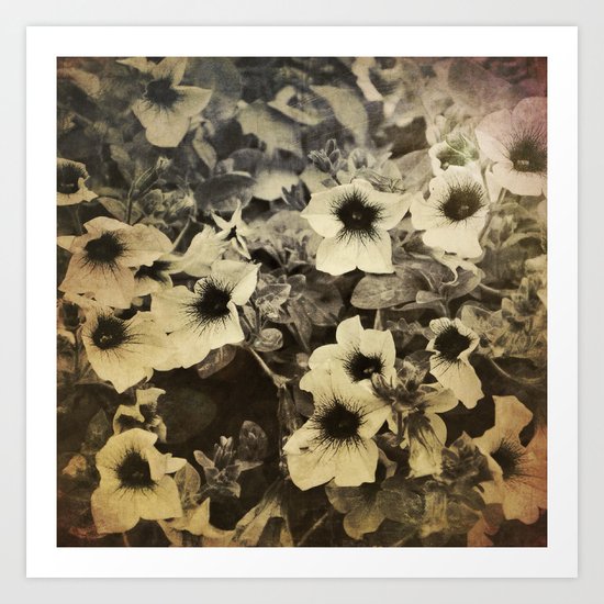 Soul Flowers Art Print