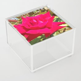 rose Acrylic Box