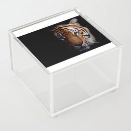 Tiger face close up Acrylic Box