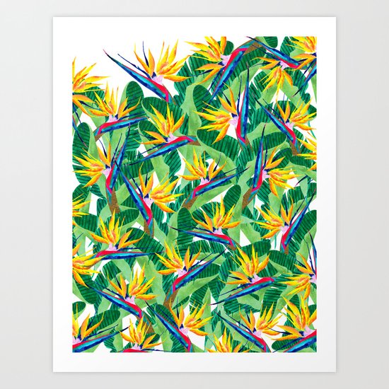 Summer Strelitzia Art Print