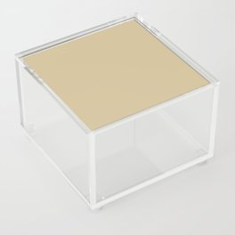 Medium Golden Beige Brown Solid Color Pairs PPG Honey Bunny PPG1090-3 - All One Single Shade Colour Acrylic Box