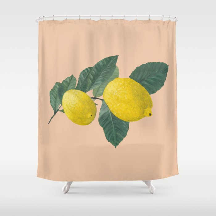 Oil Painting Of A Lemon Tree Branch With Two Lemons Isolated On