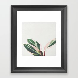 Pink Leaves III Framed Art Print