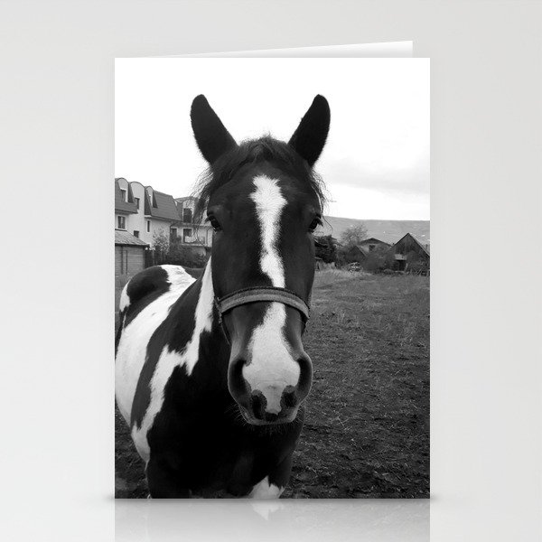 Vintage monochrome spotted horse in the suburbia Stationery Cards