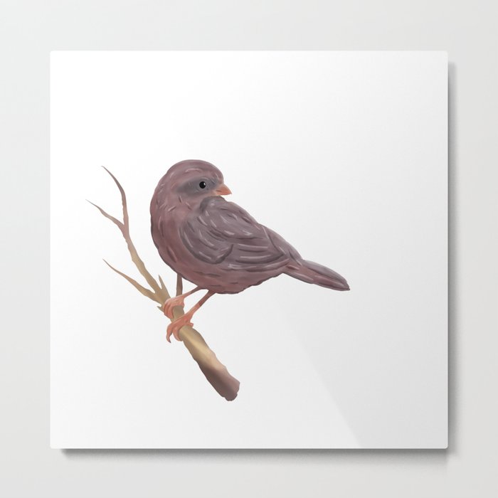 little bird brown colors on the branch, digital painting Metal Print