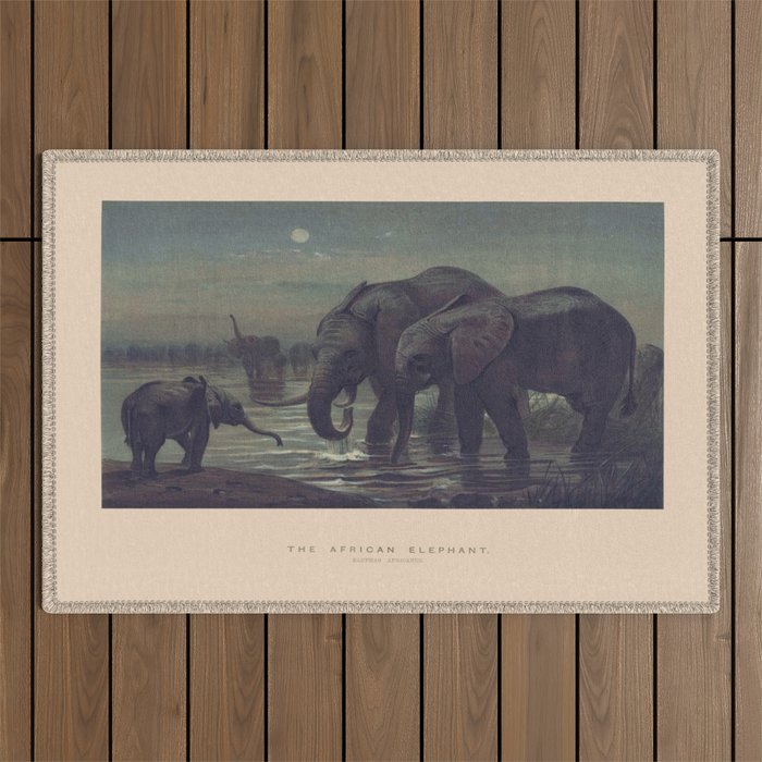 The African Elephant Outdoor Rug