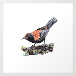 Nz Art Prints For Any Decor Style Society6 Different size options available, framed or unframed options. nz art prints for any decor style