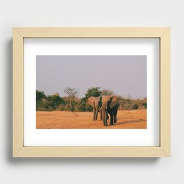 elephants during sunset Recessed Framed Print