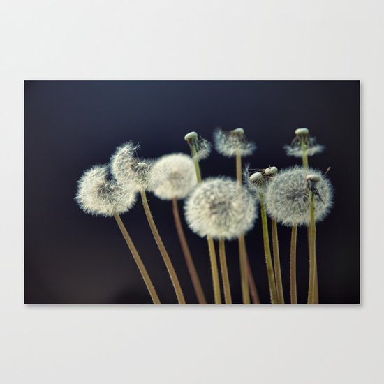 {wishes} Canvas Print