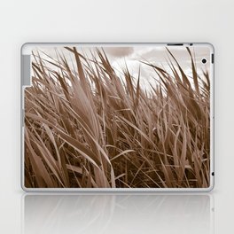 Sepia monochrome cattail field Laptop Skin