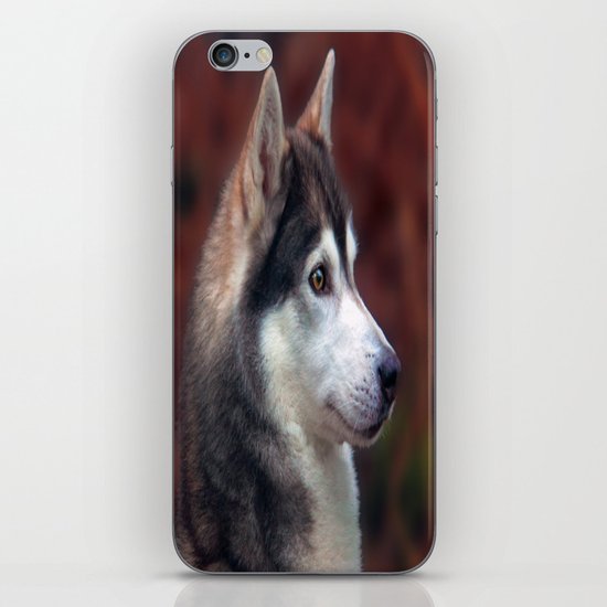 brown eyes iPhone Skin