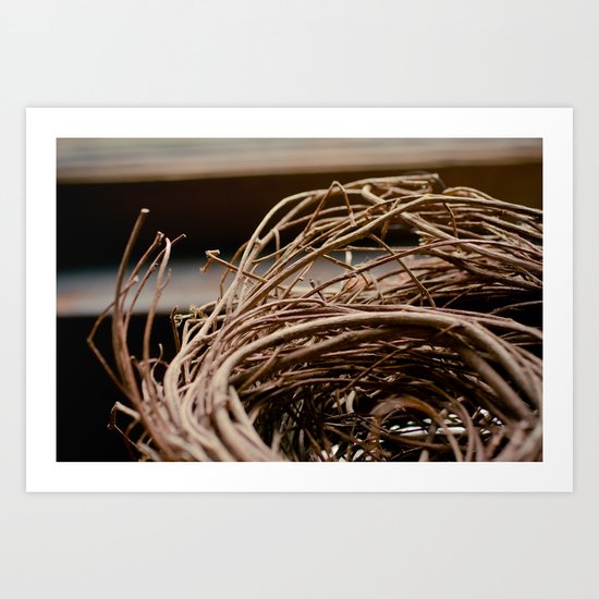 Nido Art Print