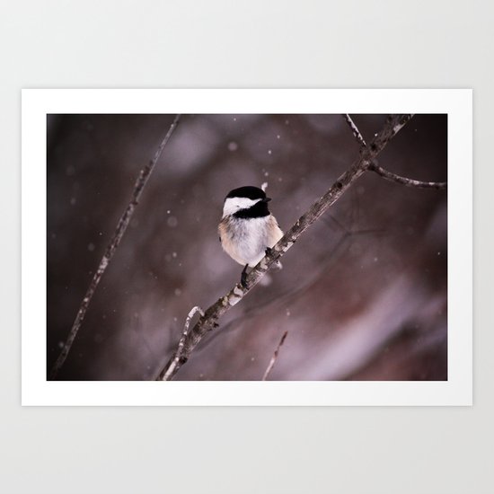 Chickadee in a Flurry Art Print