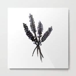 Lavender - Katrina Niswander Metal Print | Garden, Painting, Natural, Floral, Purple, Sketch, Illustration, Aromatherapy, Watercolor, Flowers 