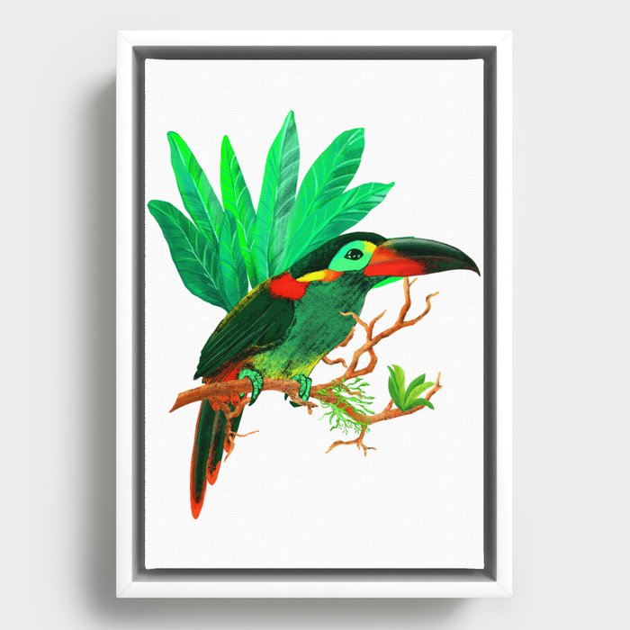 exotic bird Framed Canvas