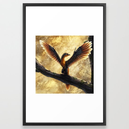 archaeopteryx lithographica