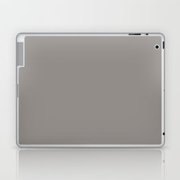 Granite Gray Laptop Skin