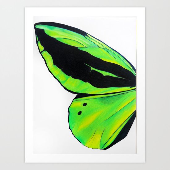 Green Butterfly Wing Art Print