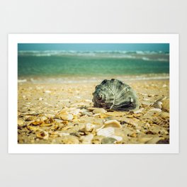 Daydreams on the Shore Nature / Coastal Photograph Art Print