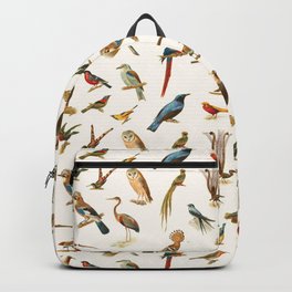 Twenty Two Birds Backpack