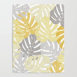 Yellow monstera deliciosa leaves Poster