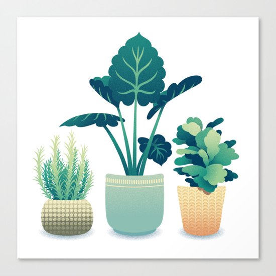 Potted Plants Canvas Print