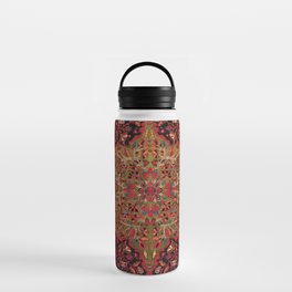 Antique Ferahan Persian Rug, Elegant Colorful Ornate Vintage Kilim Carpet Water Bottle