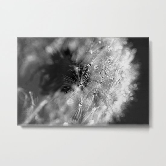 don't shed a tear Metal Print