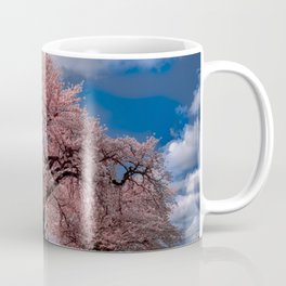 Amazing, natural landscape flowers trees, its cherry blossoms season Japanese garden in Japan Coffee Mug
