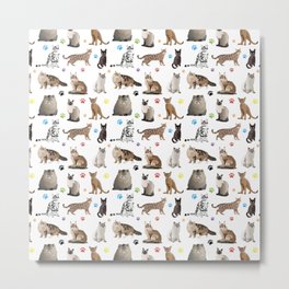 Various Cats Pattern Metal Print | Graphicdesign, Breed, Americanshorthair, Catlover, Siamesecat, Pattern, Friendly, Ilove, Ragdollcat, Different 