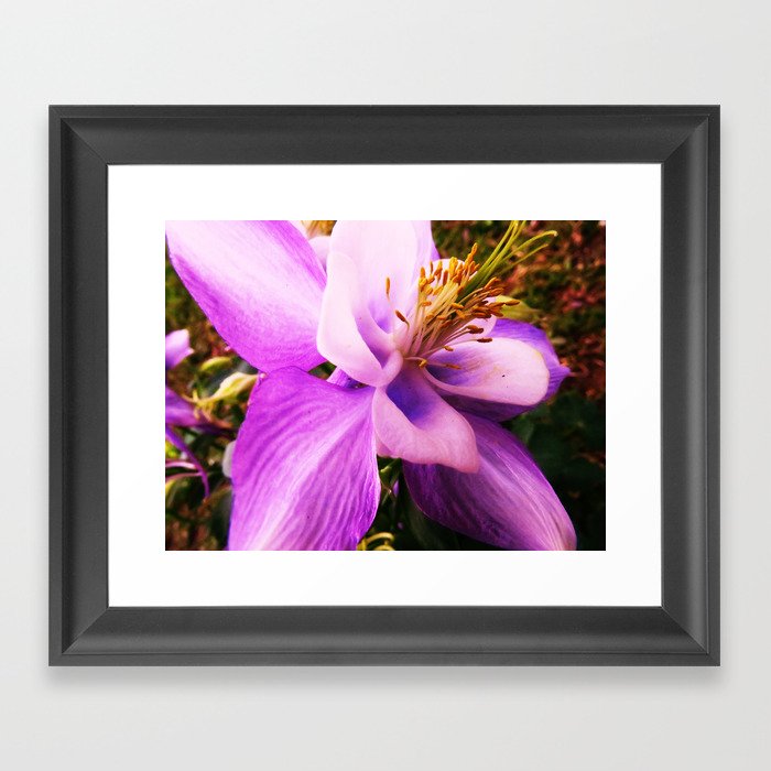 Purple flower 2 Framed Art Print