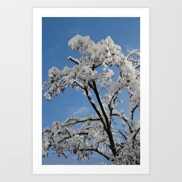 Snowy Branches #1 #winter #wall #art #society6 Art Print