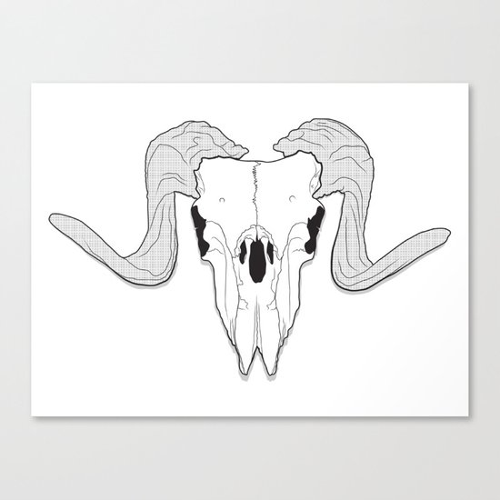 Ram Skull Canvas Print