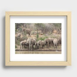 Elephants on the riverbank Recessed Framed Print