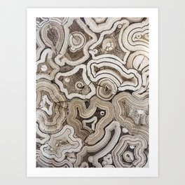 Beige Tree Ring | Wood Slice Abstract Pattern Art Print