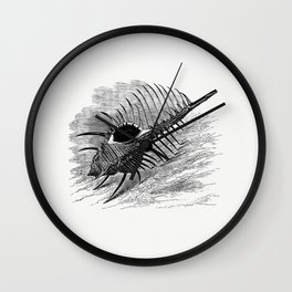 Venus comb from The Book Of The Ocean Wall Clock