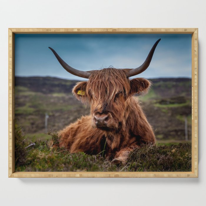 Scottish Highland Cow | Scottish Cattle | Cute Cow | Cute Cattle 03 Serving Tray