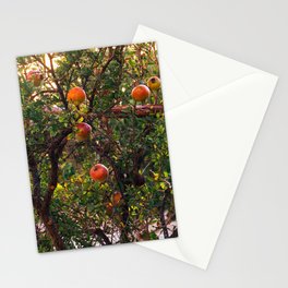 The Pomegranate Tree | Fruit Tree in Greece - Summer Travel Photography on the Greek Islands, Europe Stationery Card