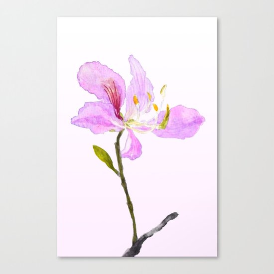 purple Buahinia Canvas Print