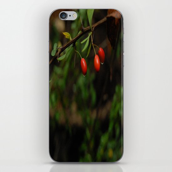 Berries iPhone & iPod Skin